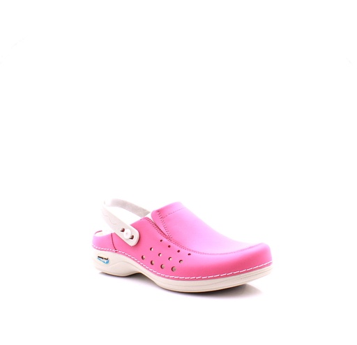 Nursing Care WG4 A P Fuksia